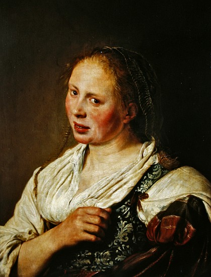 Painting of the young peasant von Salomon de Bray