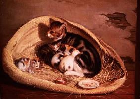 Cat with Her Kittens in a Basket 1797