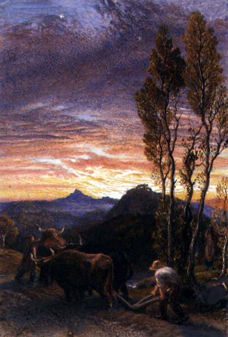 Oxen Ploughing at Sunset von Samuel Palmer