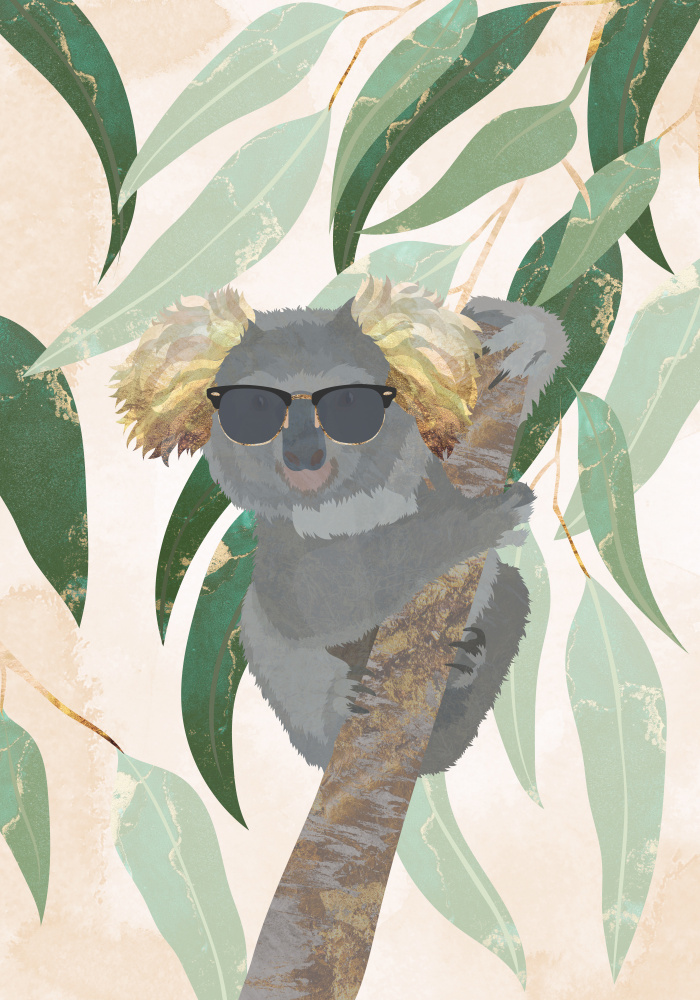 Cooler Koala von Sarah Manovski