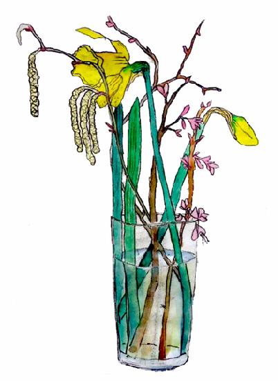 Daffodils and catkins 2018
