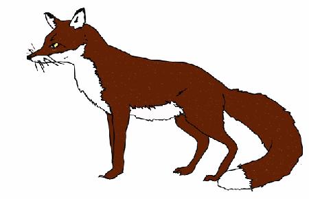 fox 2018