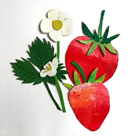 Strawberries 2019