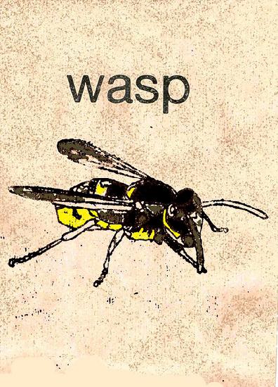 wasp 2014