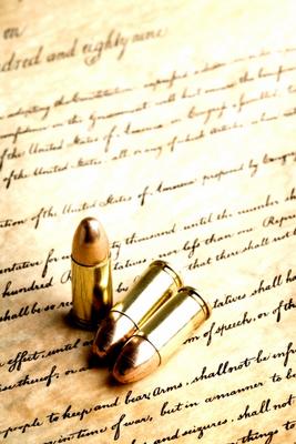 bullets on constitution von Sascha Burkard