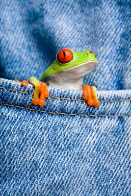 frog in pocket von Sascha Burkard