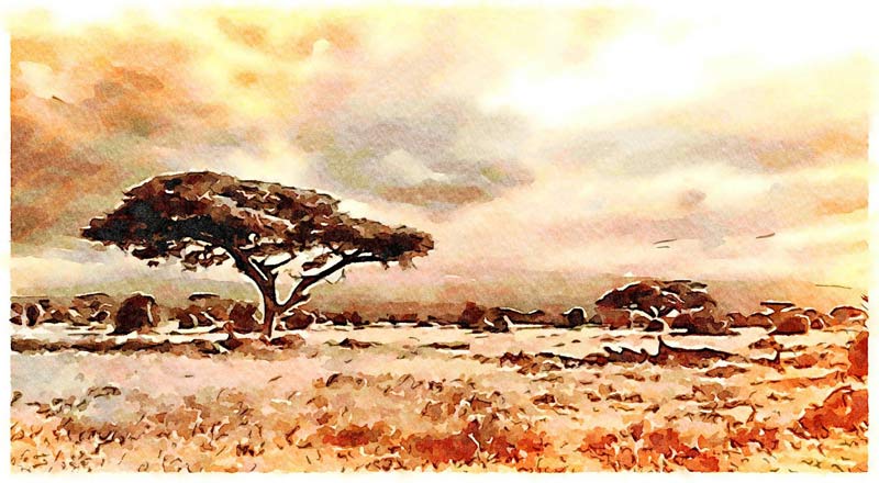 Afrikanische Landschaft von Saskia Ben Jemaa