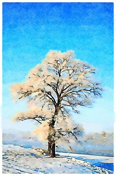 Tree in the snow 2020