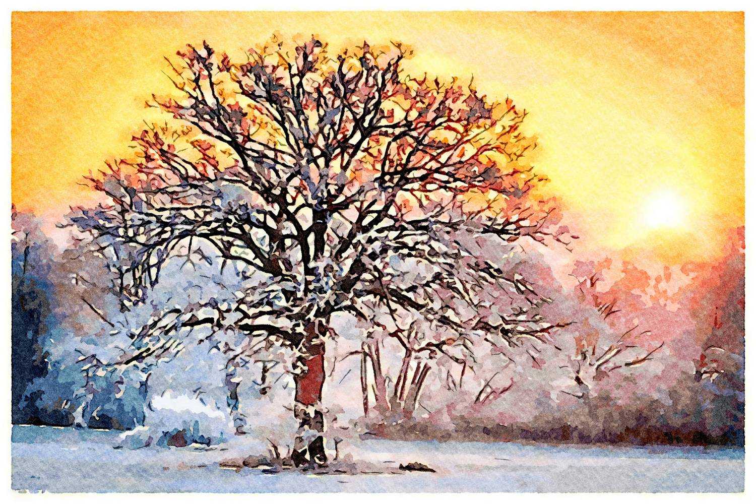 Tree in sunset von Saskia Ben Jemaa