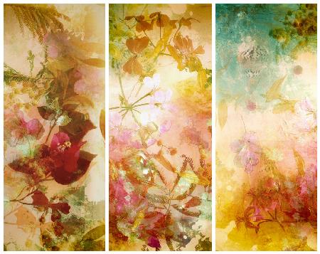 Blumenabstraktionen mit Mimosen,Muscheln und Bougainvillea,die im Wasser schwimmen. Trilogie.