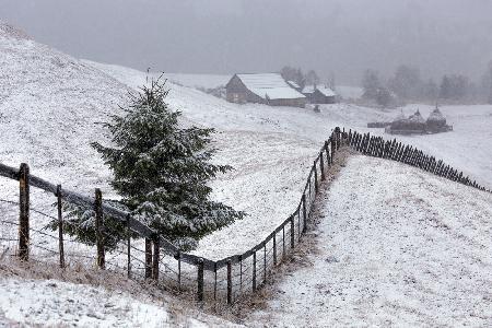 Schon Winter in der Bukowina