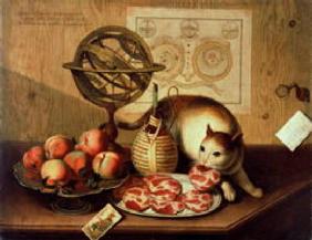 Still Life with Cat (oil on canvas) 15th