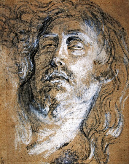 Head of the dead Christ (charcoal & chalk on paper) von Sir Anthony van Dyck