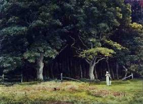 The Wooded Landscape c.1900  on