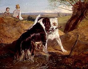 Zwei Hunde im Kampf um ein Stöckchen von Sir Edwin Henry Landseer