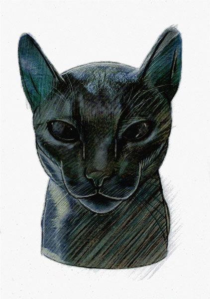 Cat von Philip Smeeton