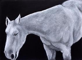 Ghost (pastel on paper) 