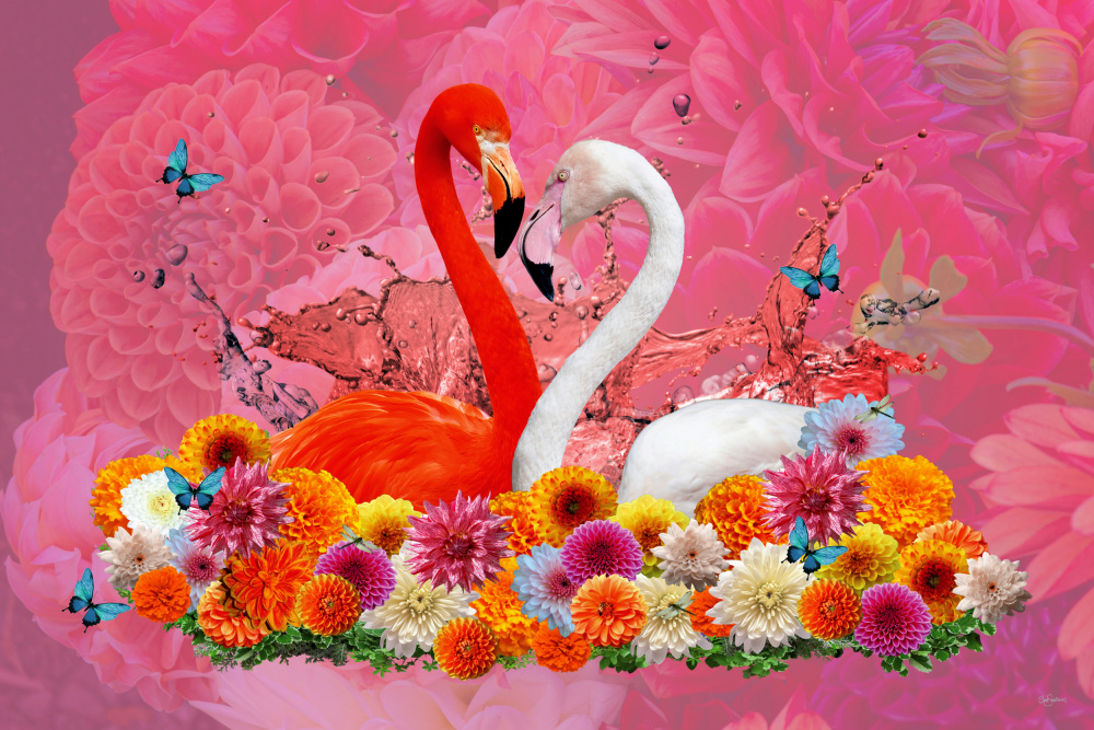Flamingo- und Dahlien-Frühling von Sue Skellern