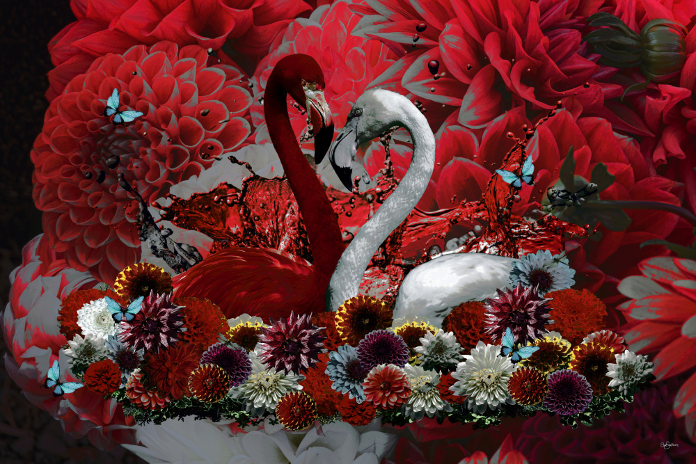 Flamingo- und Dahlienromantik von Sue Skellern
