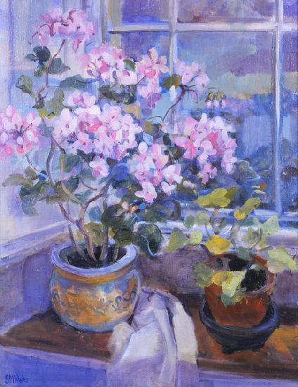 Pink geranium on window seat 1996