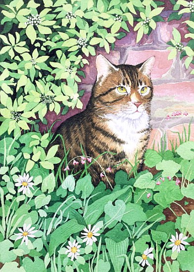 Jackie''s Cat (garden design)  von Suzanne  Bailey