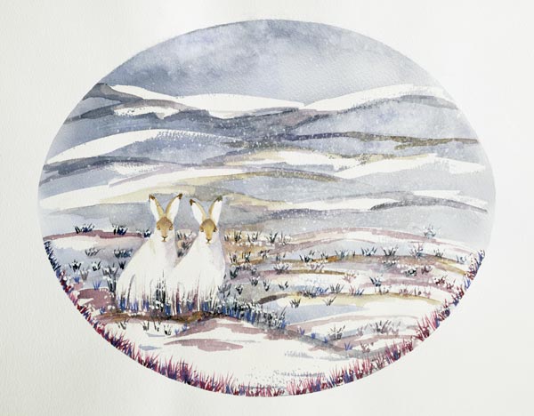 Two Hares in a Snowy Landscape (w/c) von Suzi  Kennett
