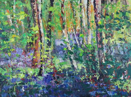 Bluebells and Dancing Leaves 2019