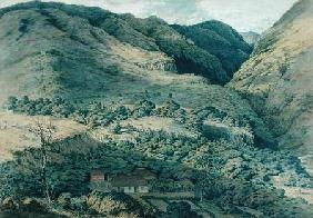 Ravine and River at St. Denis, Bourbon 1814  on