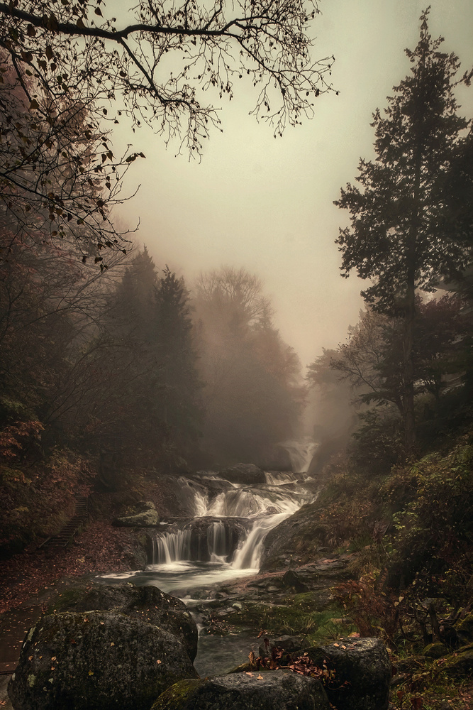 Misty Creek von Teddy Hariyanto