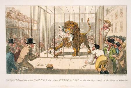 The Fight between the Lion Wallace and the Dogs Tinker and Ball in the Factory Yard in the Town of W von Theodore Lane