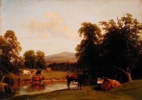 Scene at Enville 1852