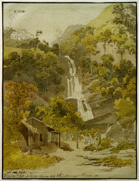 Kleiner Wasserfall von Tijuca von Thomas Ender