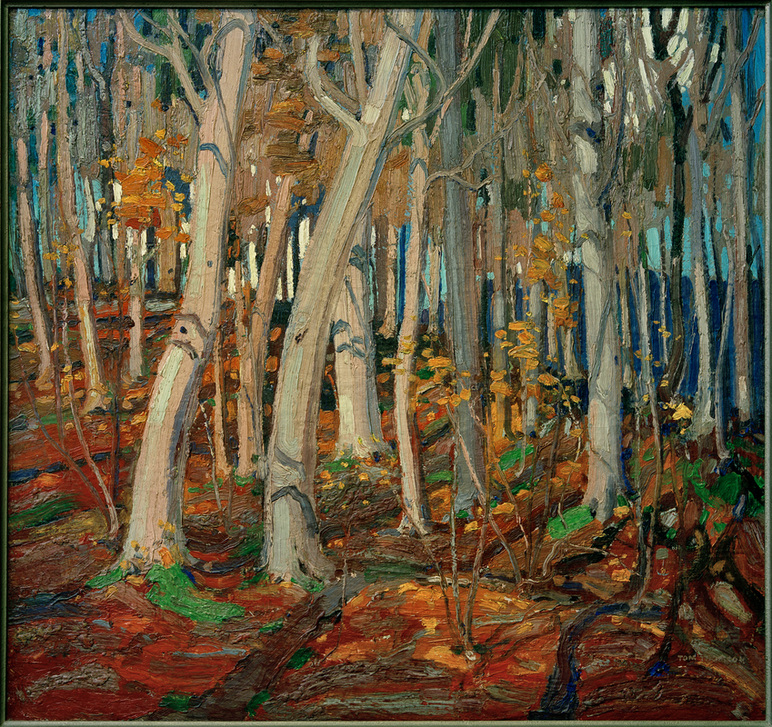 Maple Woods, Bare Trunks, 1916 von Thomas John Thomson