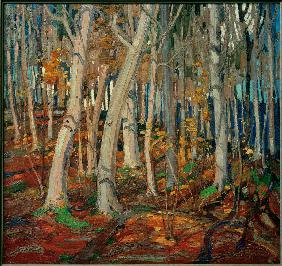 Maple Woods, Bare Trunks, 1916 1915