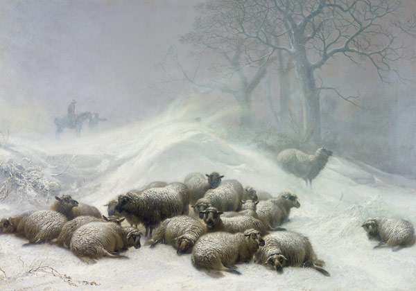 Sheep in a Snowstorm von Thomas Sidney Cooper