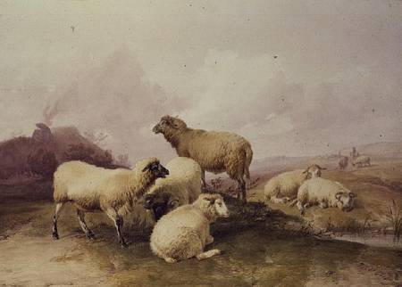 Sheep in a Landscape von Thomas Sidney Cooper
