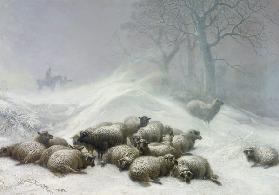 Sheep in a Snowstorm 1881