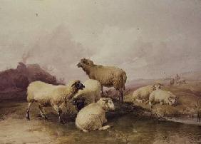 Sheep in a Landscape 1844