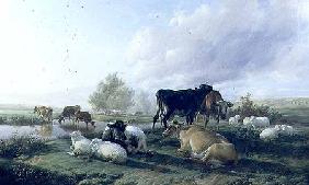 In the White Hall Meadows, Canterbury 1848