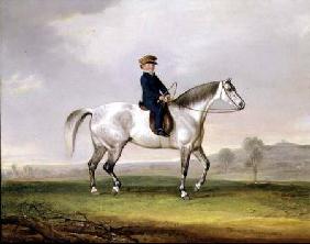 Master Edward Humphries on his Grey Pony 1823