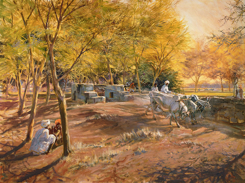 Working for Water, Rajasthan, 1997 (oil on canvas)  von Tim  Scott Bolton