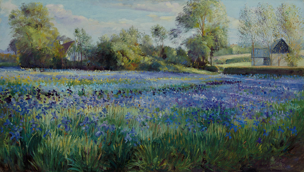 Dappled Light on the Iris Field von Timothy  Easton