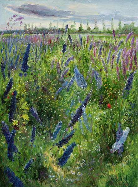 Delphiniums and Emerging Sun  von Timothy  Easton