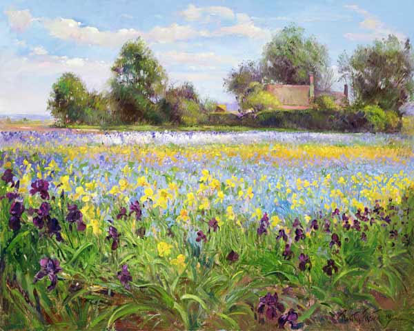 Farmstead and Iris Field, 1992  von Timothy  Easton
