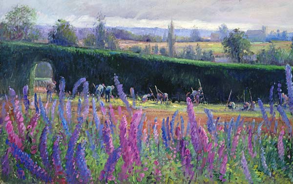 Hoeing Against the Hedge von Timothy  Easton