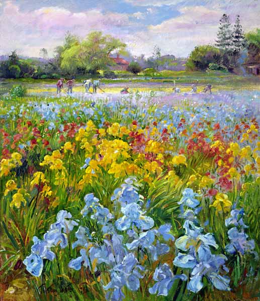 Hoeing Team and Iris Fields, 1993  von Timothy  Easton