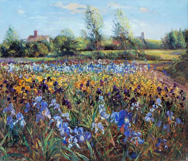 Irises and Burgate Green (oil on canvas)  von Timothy  Easton
