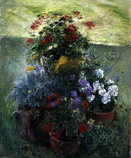 Shaded Pots (oil on canvas)  von Timothy  Easton