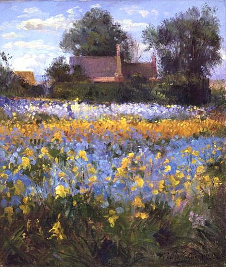 The Enclosed Cottages in the Iris Field  von Timothy  Easton