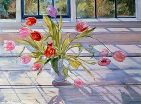 Tulips in the Evening Light, 1990 